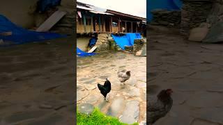 Khoobsoorat nazare#travel #mountains #love #like #nature #hindisong #oldisgoldsongs#youtubeshorts