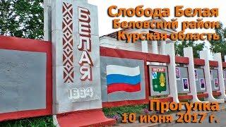 Слобода Белая, Беловский район, Курская область. Прогулка 10 июня 2017 г.