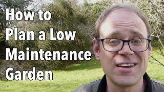 How to Plan a Low Maintenance Garden