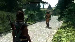 Skyrim-Installing Dual Sheath Redux and Immersive Animations.