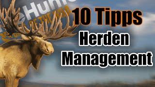 10 besten Tipps für das Herden Management | theHunter | Call of the Wild