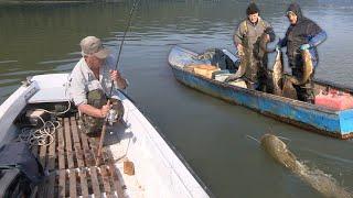 Pecanje soma, smuđa i bucova na Dunavu - Alasi sa Dunava | Fishing catfish