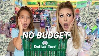 NO BUDGET  DOLLAR TREE SHOPPING SPREE! 