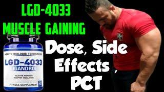 Lgd4033 Sarm Full Guide | LGD 4033 SARM | LGD 4033 Muscle Gaining