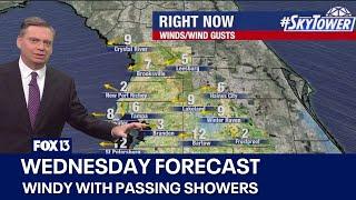 Tampa weather | Windy with passing showers