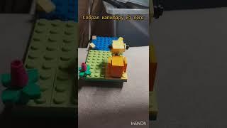 собрал капибару из Lego