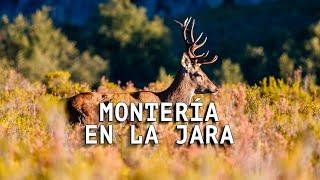 Montería en la Jara | Documental COMPLETO | Iberalia GO!