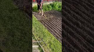 Артикул: 63410244 на wildberries Посадочный маркер Торнадика 1200
