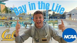 Day in the Life of a D1 Athlete | UC Berkeley Men’s Swimmer