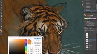 Aaron Blaise paints a tiger in Photoshop Cs6