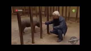 Ого он сьебался
