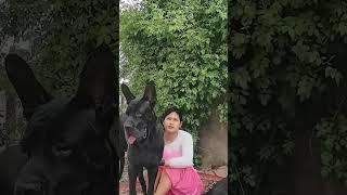 This dog is creating the new generation 752