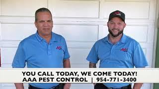 Termite proof your home | AAA PEST CONTROL SOUTH FLORIDA