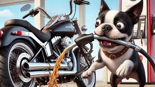 How to fuel your Harley Davidson