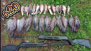 The best DOVE HUNT of the year! ️ (hunting in the rain) @Caza1994