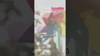 Ночное кошачье зрание #факты #биология #кошки #кошка #shortvideo #shorts #наука #котята #милота