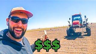 I FOUND MONEY IN OUR NEW FIELD
