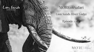 #MOREOnSafari - Lion Sands River Lodge: Episode 1