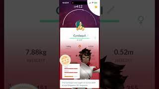 Cyndaquil with Special Research (Community Day) #shorts #pokemongo