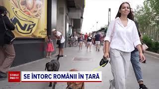 O româncă nu a mai suportat viața în Germania și s-a întors acasă