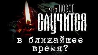 Гадание на картах. ЧТО НОВОГО В ЖИЗНИ БУДЕТ В БЛИЖАЙШЕЕ ВРЕМЯ? ПРОГНОЗ НА БУДУЩЕЕ