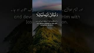 Qalam e Rabi||Quran e pak||Tawaqal||#Deene islam