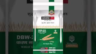 WHEAT SEEDS  2023 #geneticseed #newvariety  #dbw327 #pbw826                   BOOK NOW..