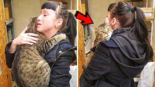 Huge Cat Hugged A Woman In a Shelter And Didn't Want To Let Her Go!