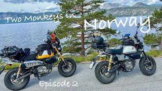 Two Monkeys in the Norwegian mountains! Ep 2