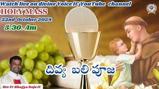 Holy Mass || Rev.Fr.Bhagya Raju IC || Rosminians || 22-10-2024