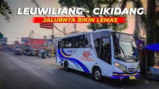 JALURNYA BIKIN DENGKUL LEMAS || BUS DAMRI PERINTIS LEUWILIANG - CIKIDANG