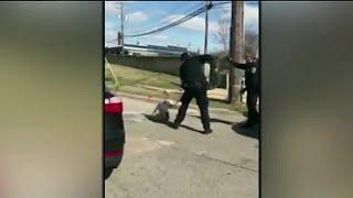 Video shows officer using stun gun on dog in Roseville