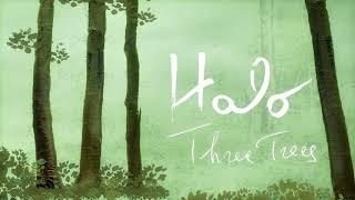 Three Trees - Halo [OFFICIAL VIDEO]