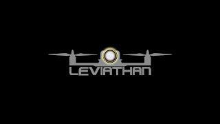 Leviathan CA Drone Challenge