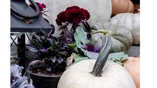 Fall Porch