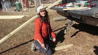 Building our first John Suscovich Chicken Tractor