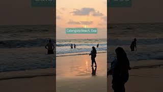 Calangute beach #life #travel #love #stay @Beach4U @thevibeguide @viralvibes-d2g #beach