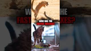 Nature’s Fastest Reaction Times