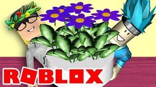Играю с ПОДПИСЧИКАМИ и с NikolCrazy GAMER | СТРИМ | ROBLOX | DAMON