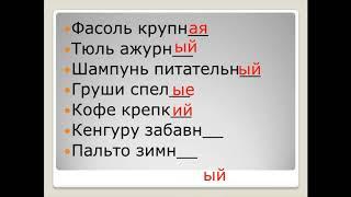 Имя прилагательное 4-класс