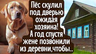 Пёс скулил под дверью ожидая прихода хозяина. А год спустя жене позвонили из деревни, чтобы...