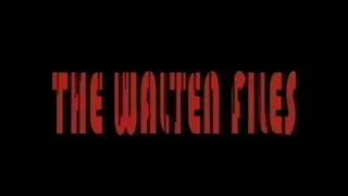 Claire de lune (The Walten Files 4 - CyberFun Tech OST)