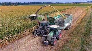 Mais 2024 : Fendt Katana 650 | Linneweh | Fendt 930 | Maisernte | Mais silage | Valtra |