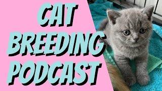 Tell Me Your Thoughts: How Has My CAT BREEDING ADVICE Helped You?