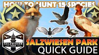 Salzwiesen Park QUICK GUIDE!!! (How to Hunt ALL 15 Species) - Call of the Wild