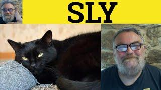  Sly Meaning - Sly Examples - On the Sly Definition - IELTS Adjectives - Sly