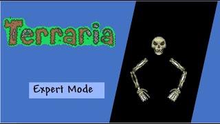 Defeating Skeletron with only melee in Expert mode | Terraria