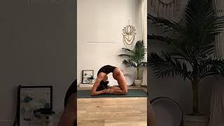 Back Flexibility Easy Stretch  Flow #Yoga #shorts #yogapractice