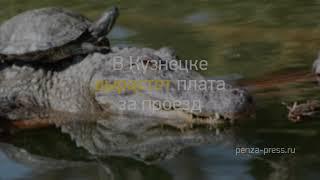 Новость дня: "Опубликовано, а затем удалено видео массов..." и другие главные новости за 2018-10-29