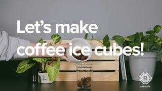 Rothrock @ Home: Coffee Ice Cubes